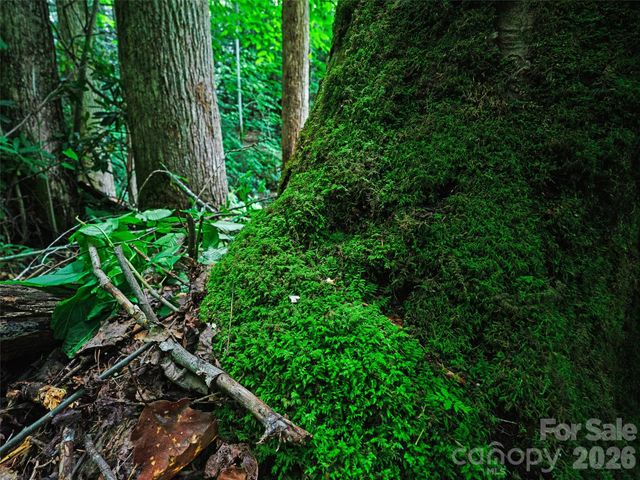 0000 Deep Gap Road, Burnsville, NC 28714