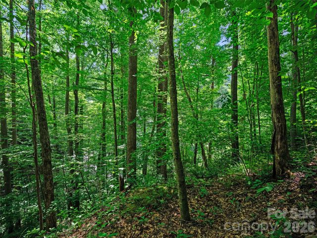 0000 Deep Gap Road, Burnsville, NC 28714