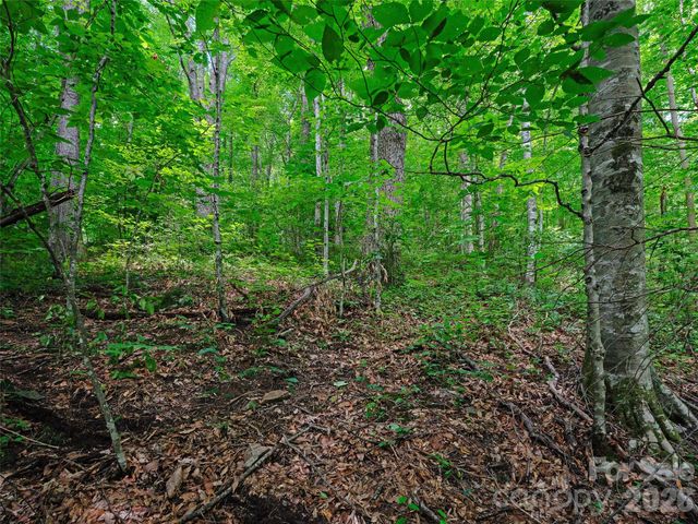 0000 Deep Gap Road, Burnsville, NC 28714