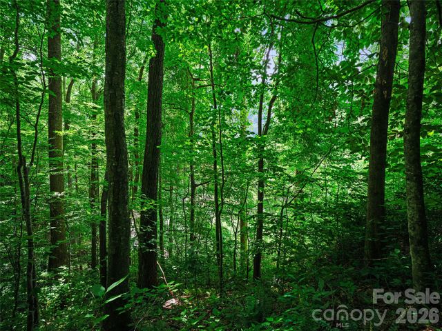 0000 Deep Gap Road, Burnsville, NC 28714