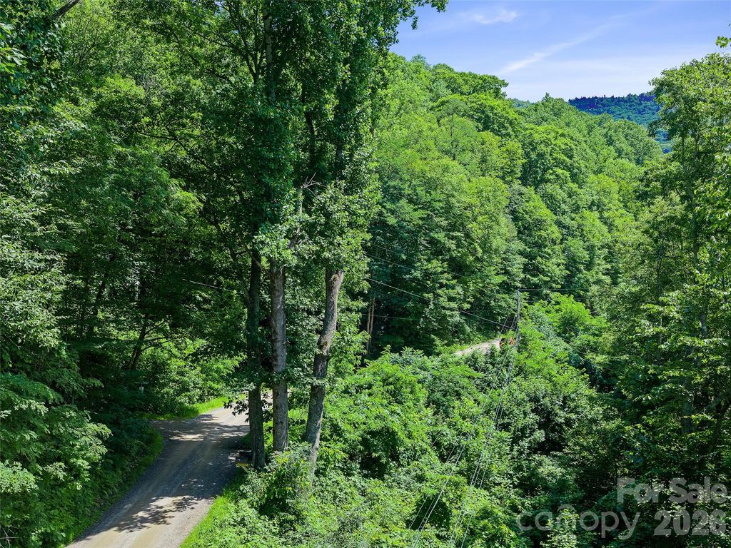 0000 Deep Gap Road, Burnsville, NC 28714