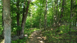 South Centenary Road, Sodus, NY 14551