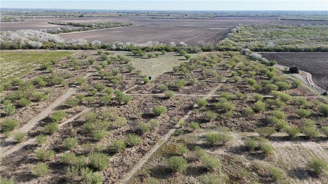 4721 FM 1349, Skidmore, TX 78389