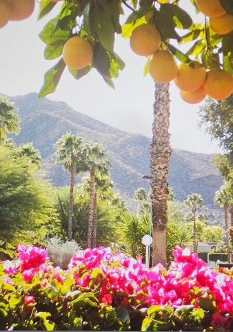 3447 Andreas Hills Drive, Palm Springs, CA 92264