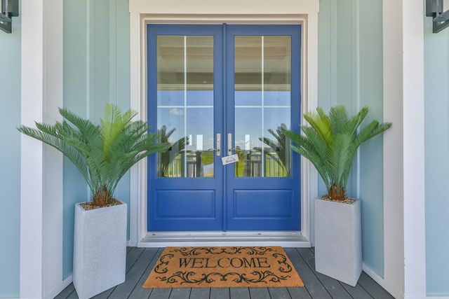 25715 Snowy Egret Drive, Galveston, TX 77554