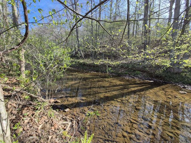 1232 Prillaman Switch RD, Ferrum, VA 24088