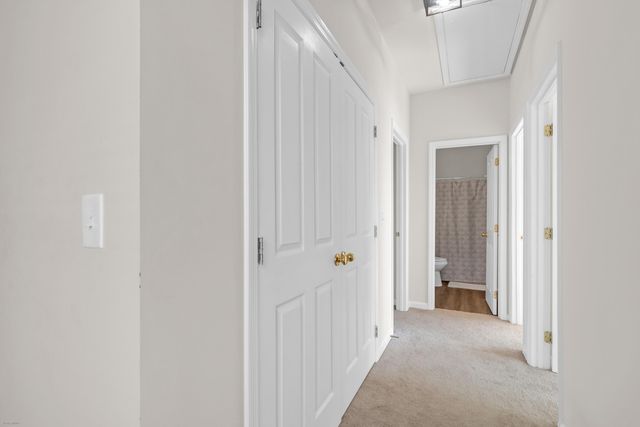 113 Amaranth Avenue, Summerville, SC 29483