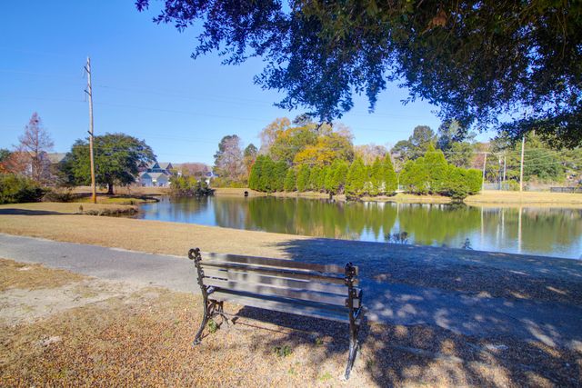 113 Amaranth Avenue, Summerville, SC 29483