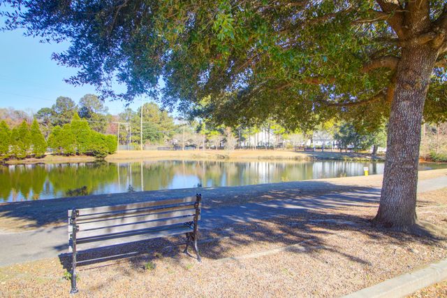 113 Amaranth Avenue, Summerville, SC 29483