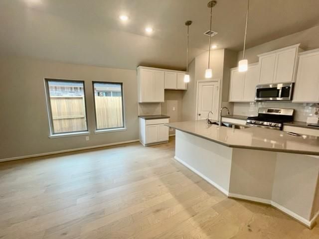 4030 Kinsey Street, Iowa Colony, TX 77583