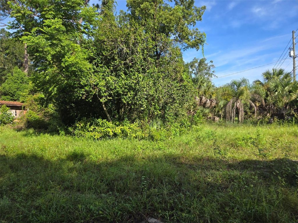 5028 MOUNT PLYMOUTH ROAD, Apopka, FL 32712