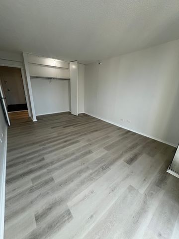 10 E Ontario Street 4102, Chicago, IL 60611