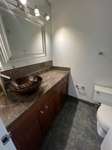 10 E Ontario Street 4102, Chicago, IL 60611