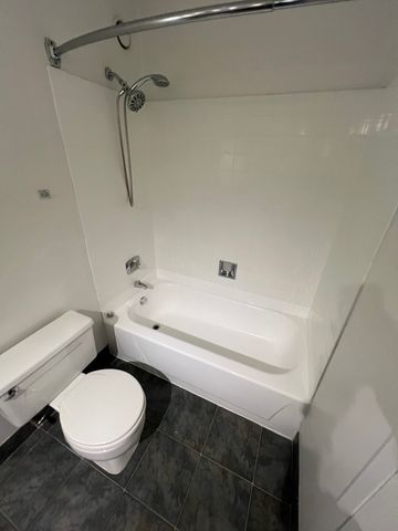 10 E Ontario Street 4102, Chicago, IL 60611