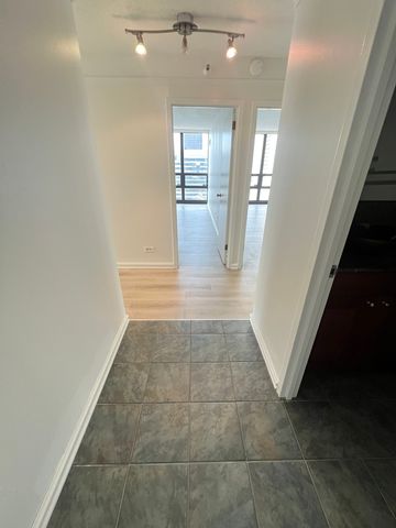 10 E Ontario Street 4102, Chicago, IL 60611