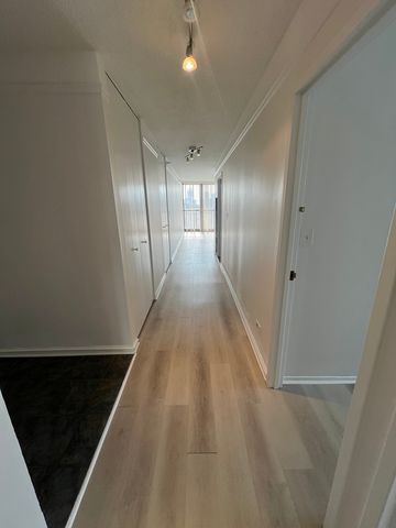 10 E Ontario Street 4102, Chicago, IL 60611