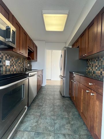 10 E Ontario Street 4102, Chicago, IL 60611