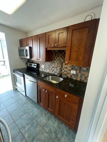 10 E Ontario Street 4102, Chicago, IL 60611