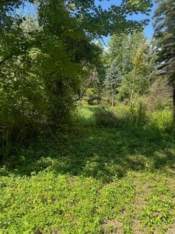 Parcel B Maple Grove, Hastings, MI 49058