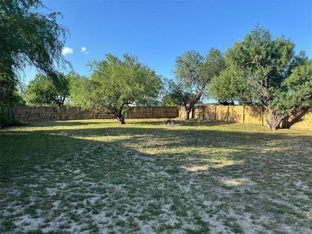 321 E 13th Street, La Joya, TX 78560