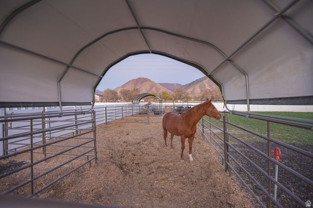 126 N 800 W, Mapleton, UT 84664