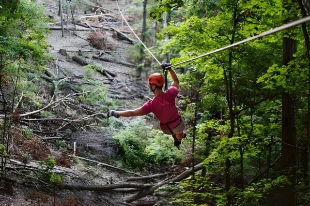 172 Dogwood Park Trail 1110, Branson, MO 65616