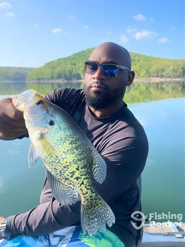 172 Dogwood Park Trail 1110, Branson, MO 65616