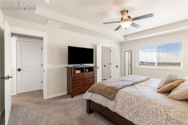 7929 Polson Drive, Colorado Springs, CO 80908