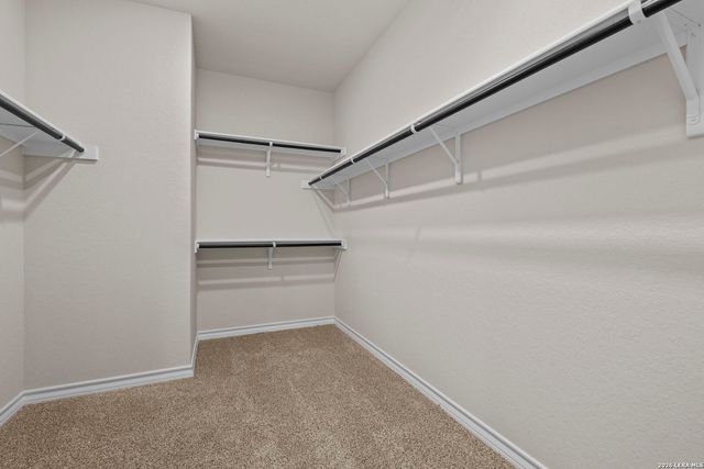 212 Hooded Dotterel, San Antonio, TX 78253