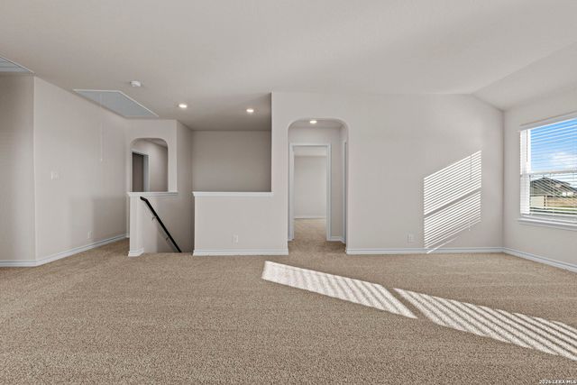 212 Hooded Dotterel, San Antonio, TX 78253