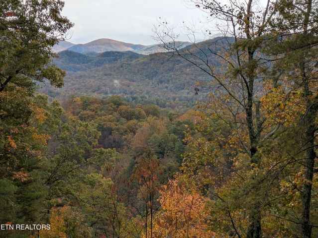 Bear Den Rd, Townsend, TN 37882