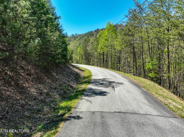 Bear Den Rd, Townsend, TN 37882