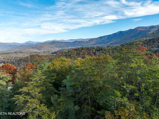 Bear Den Rd, Townsend, TN 37882