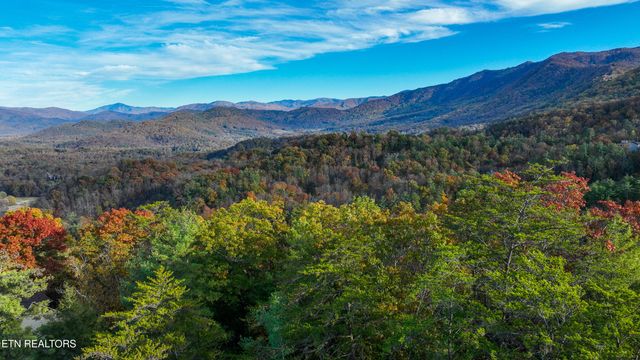 Bear Den Rd, Townsend, TN 37882