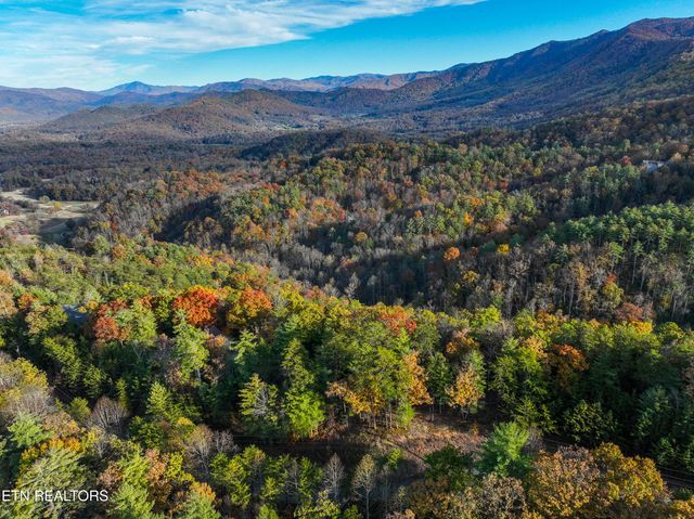 Bear Den Rd, Townsend, TN 37882