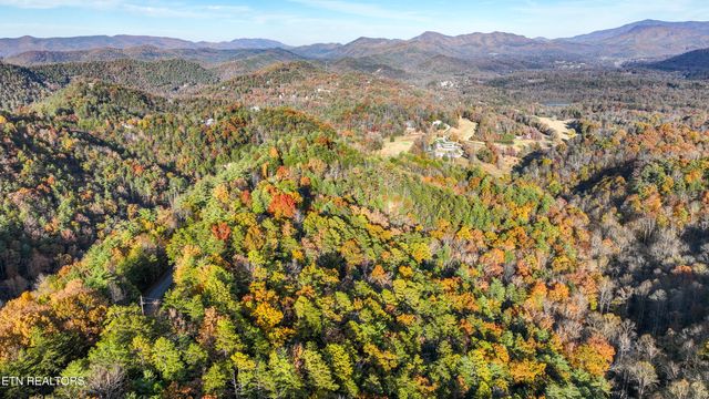 Bear Den Rd, Townsend, TN 37882