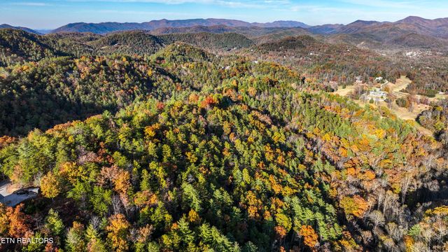 Bear Den Rd, Townsend, TN 37882