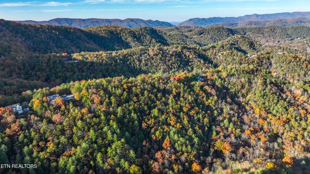 Bear Den Rd, Townsend, TN 37882