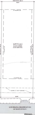 Lot Y-1-A-3 La Hwy 933, Prairieville, LA 70769