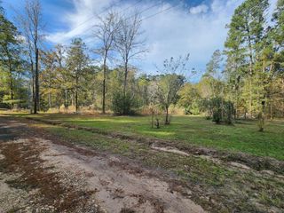 tbd Tall Pine, Livingston, TX 77351