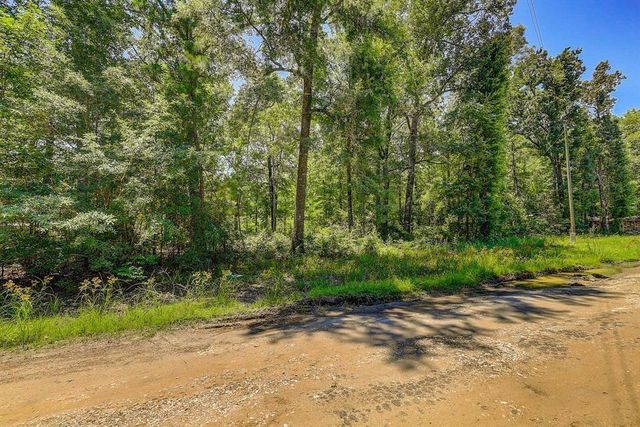 Lot 432 Parkpine Street, Livingston, TX 77351