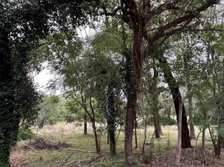 911 Penion DR, Austin, TX 78748