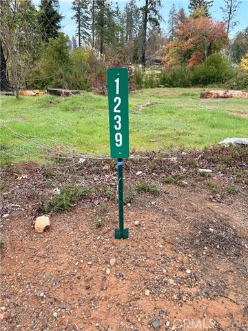 1239 Elliott, Paradise, CA 95969