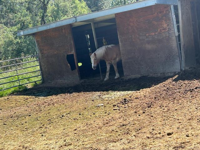 4164 Leisure Ln, Placerville, CA 95667
