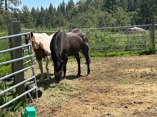4164 Leisure Ln, Placerville, CA 95667