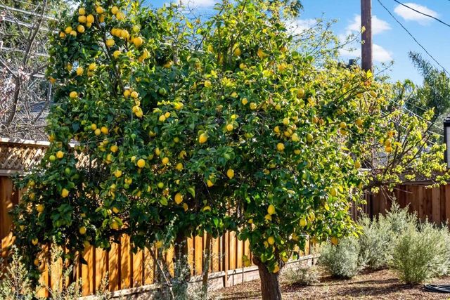 12536 Paseo Flores, Saratoga, CA 95070