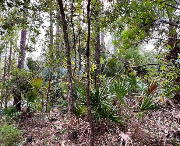 18 WATERMILL PLACE, Palm Coast, FL 32164