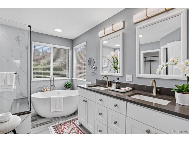 22072 Pebble Brook Ln, Parker, CO 80138