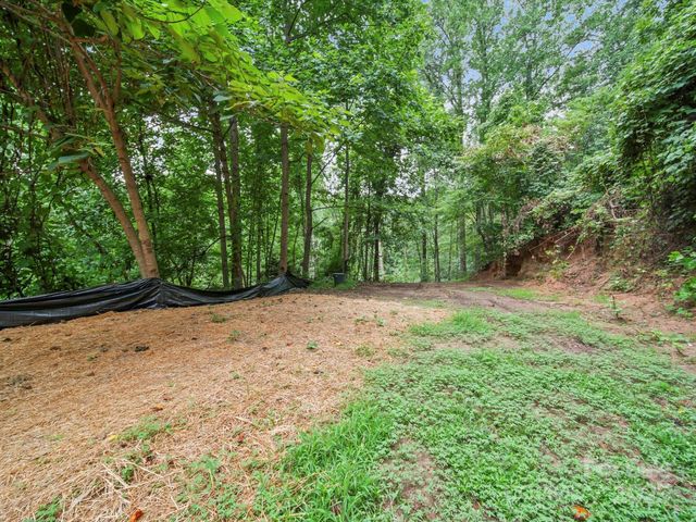 629 Vineyard Road, Tryon, NC 28782