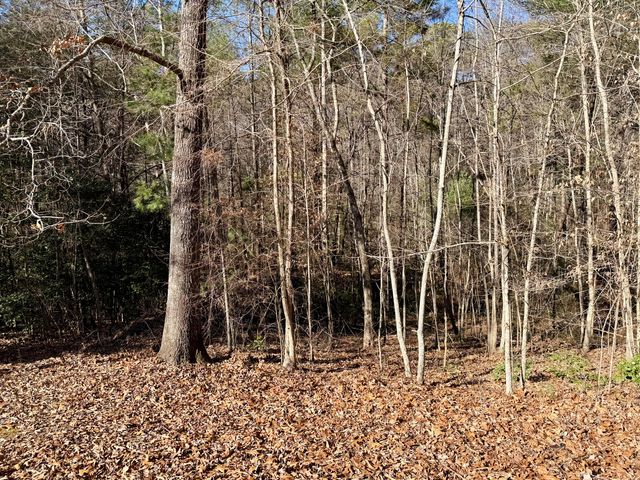 969 Mountain Vista Road, Farner, TN 37333